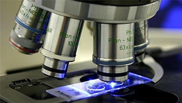 顯微鏡光圈-如何使用判斷光圈？[博越儀器]