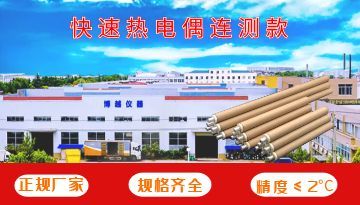 快速熱電偶供應商-廠家供應連續測溫[博越儀器]