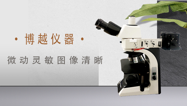  金相光學顯微鏡倍數