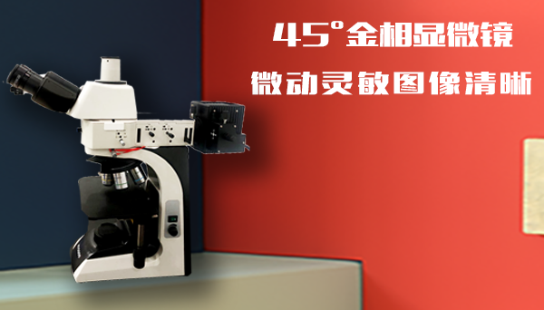 電子顯微鏡放大倍數